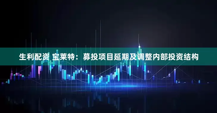 生利配资 宝莱特：募投项目延期及调整内部投资结构