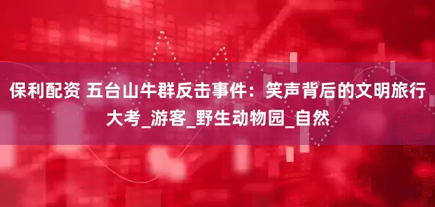 保利配资 五台山牛群反击事件：笑声背后的文明旅行大考_游客_野生动物园_自然